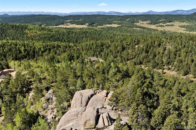 1010 Cantiberry Road, Divide, CO 80814