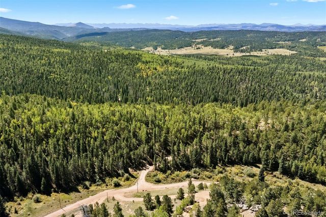 1010 Cantiberry Road, Divide, CO 80814