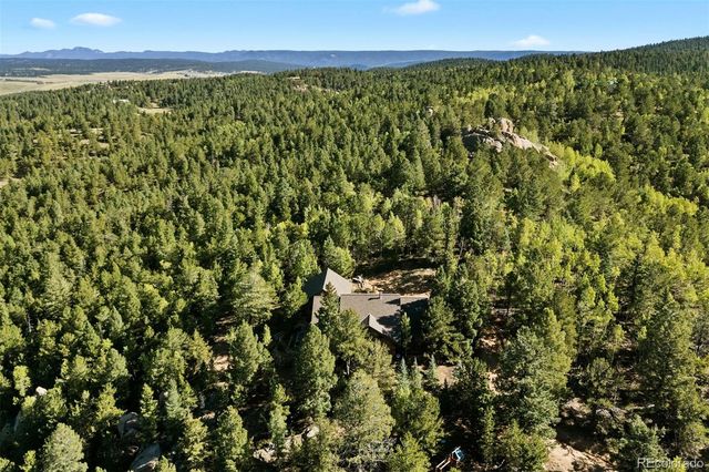 1010 Cantiberry Road, Divide, CO 80814