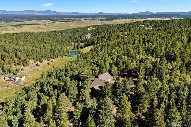 1010 Cantiberry Road, Divide, CO 80814