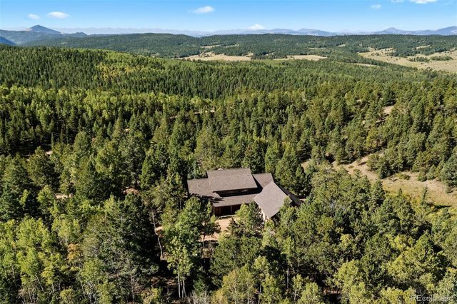 1010 Cantiberry Road, Divide, CO 80814