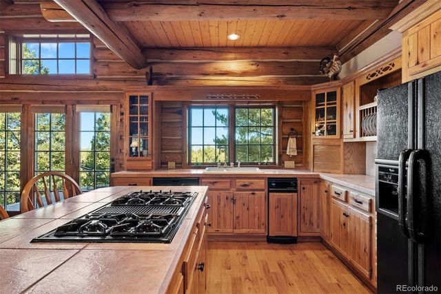 1010 Cantiberry Road, Divide, CO 80814