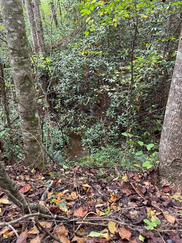 0 Reserve Estates, Murphy, NC 28906