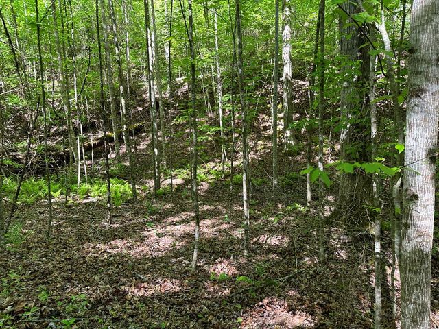 0 Reserve Estates, Murphy, NC 28906