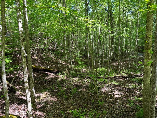 0 Reserve Estates, Murphy, NC 28906