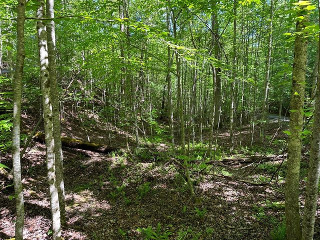 0 Reserve Estates, Murphy, NC 28906