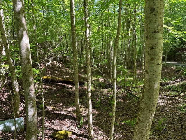0 Reserve Estates, Murphy, NC 28906