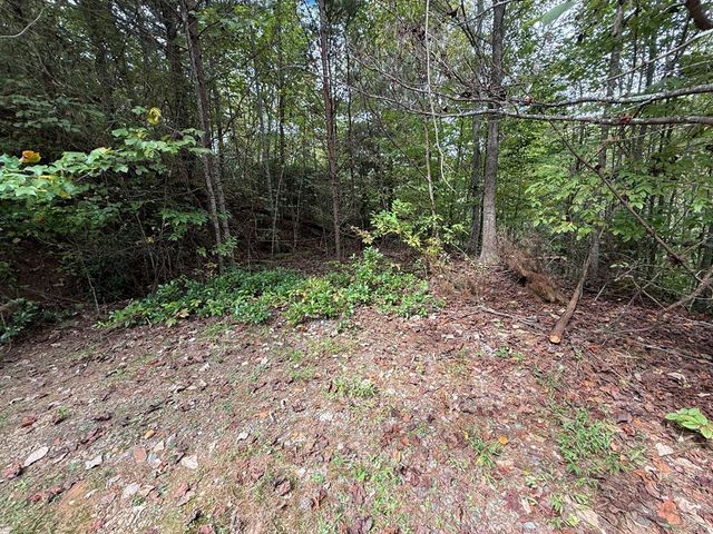 0 Reserve Estates, Murphy, NC 28906