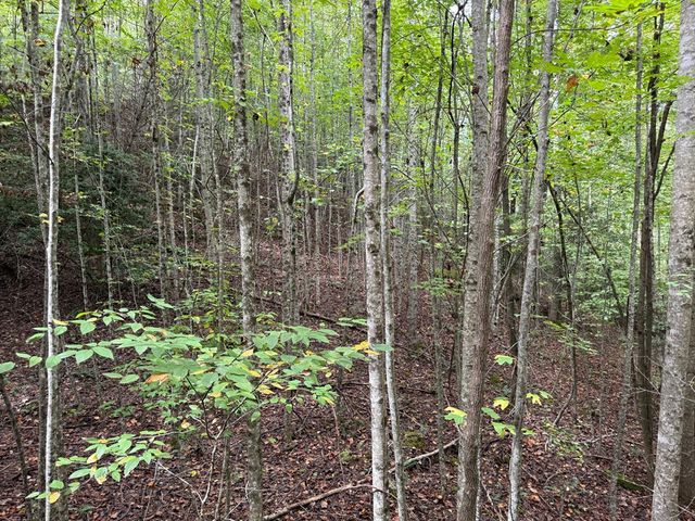 0 Reserve Estates, Murphy, NC 28906