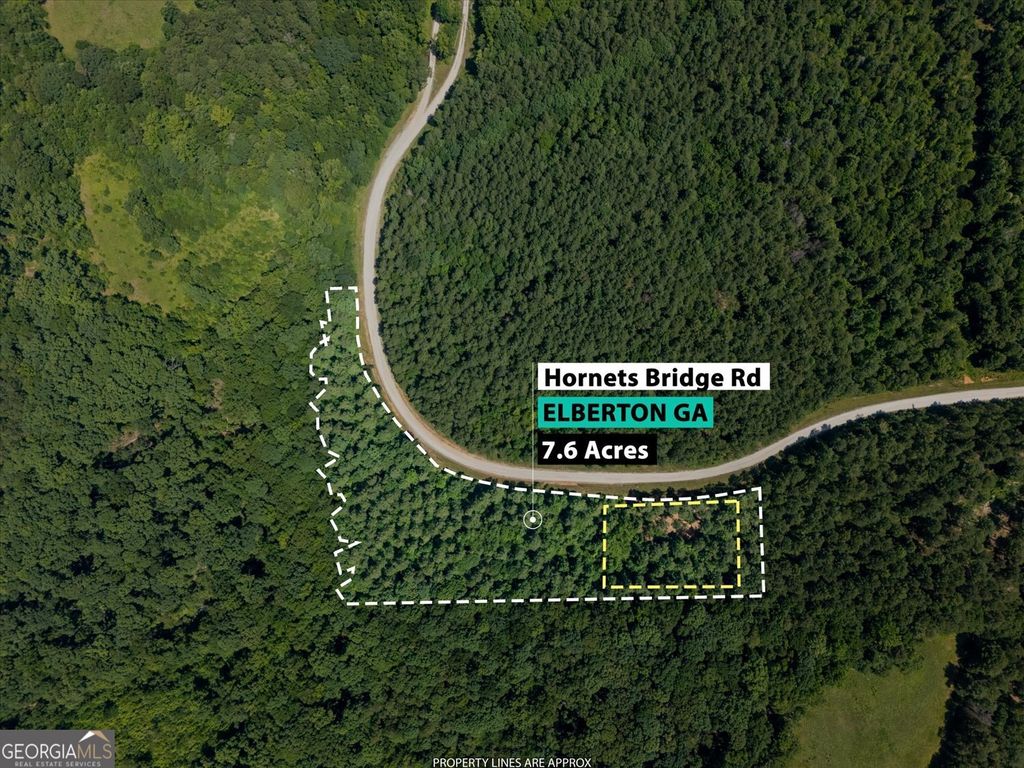 0 Hornets Bridge Road, Elberton, GA 30635 — photo 2