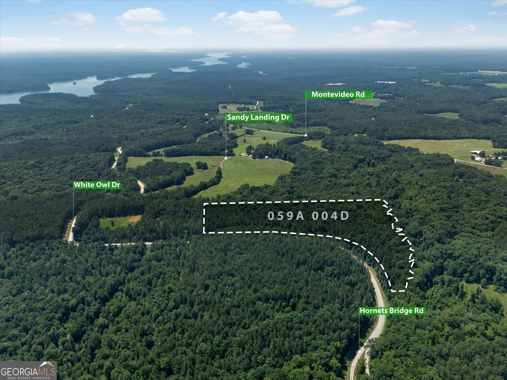 0 Hornets Bridge Road, Elberton, GA 30635 — photo 3