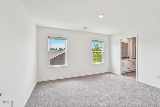 123 Mint Court, Bluff City, TN 37618