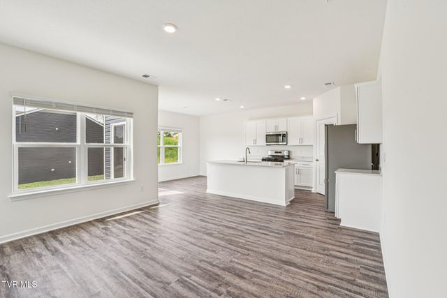 123 Mint Court, Bluff City, TN 37618