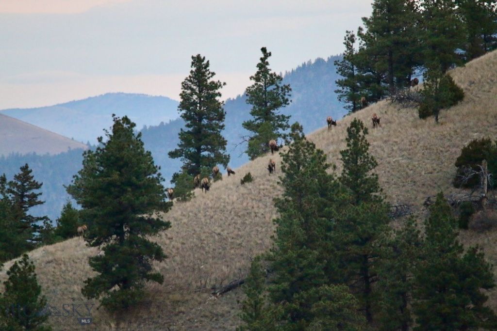 4915 W US Highway 12, Helena, MT 59601 photo 35