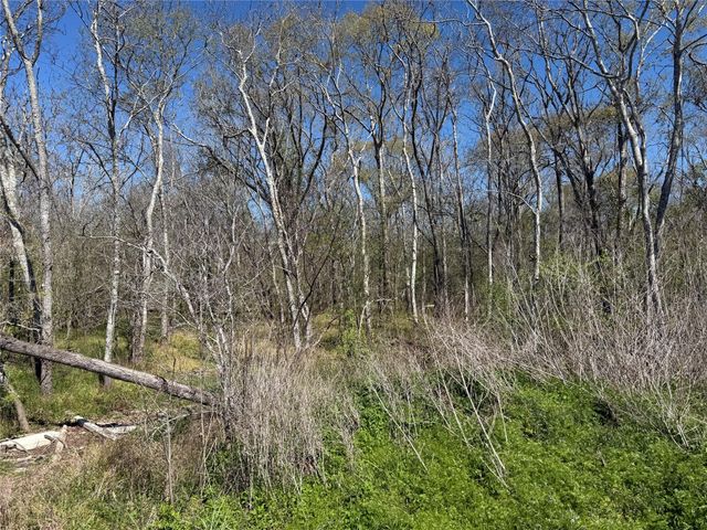 00 Fm 1462, Rosharon, TX 77583