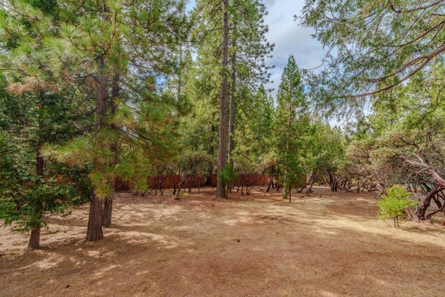 19740 Ponderosa Drive, Volcano, CA 95689