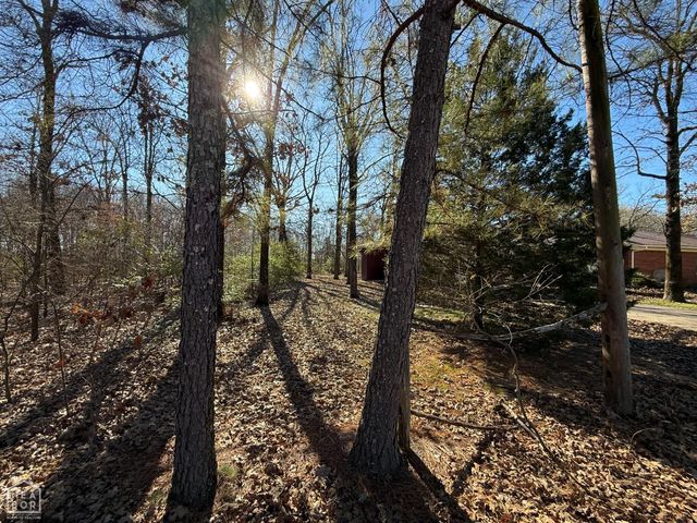 111 Clay 137 Road, Corning, AR 72422