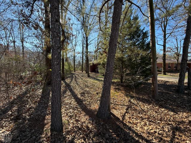 111 Clay 137 Road, Corning, AR 72422