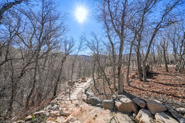 82 N MEADOW DR, Springville, UT 84663