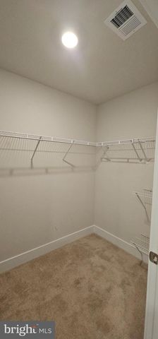 124 MASCOUTEN, Winchester, VA 22602