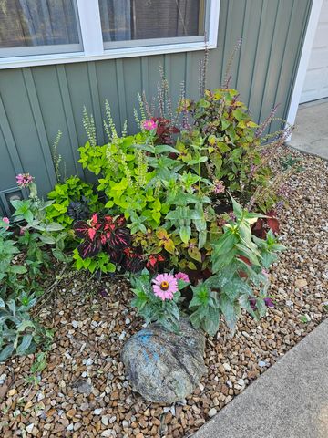 1548 E 380th Road, Bolivar, MO 65613