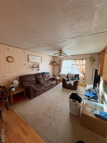 29623 State Highway C, Potosi, MO 63664