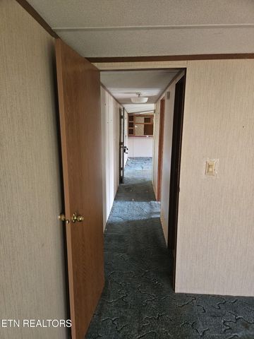 871 N Old Grey Ridge Rd, Friendsville, TN 37737