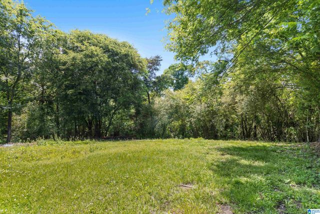 1155 LEVINE ROAD, Odenville, AL 35120