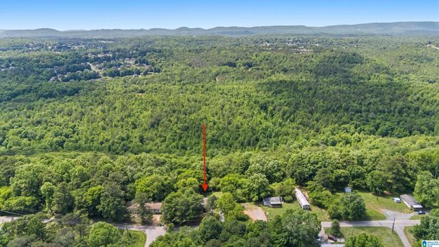 1155 LEVINE ROAD, Odenville, AL 35120