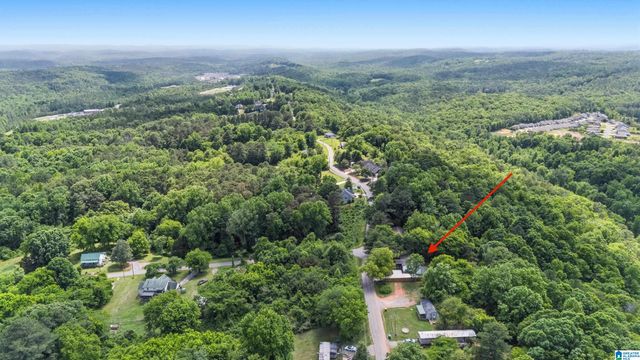 1155 LEVINE ROAD, Odenville, AL 35120