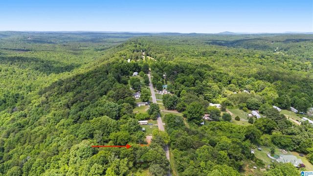 1155 LEVINE ROAD, Odenville, AL 35120