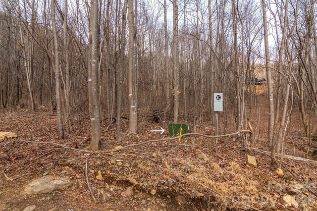 630 Spring Cove Lane, Mill Spring, NC 28756