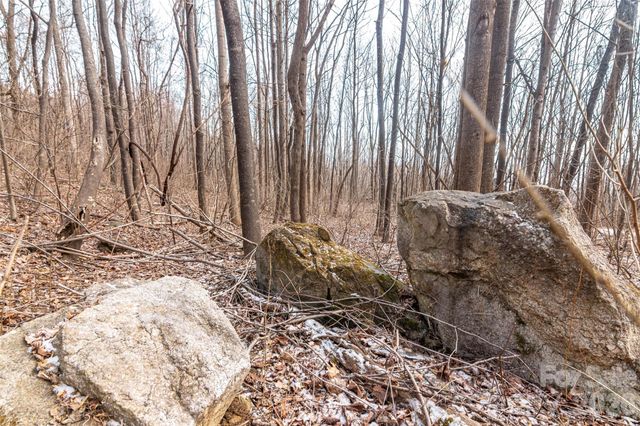 630 Spring Cove Lane, Mill Spring, NC 28756