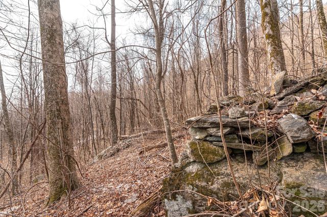 630 Spring Cove Lane, Mill Spring, NC 28756