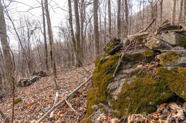 630 Spring Cove Lane, Mill Spring, NC 28756