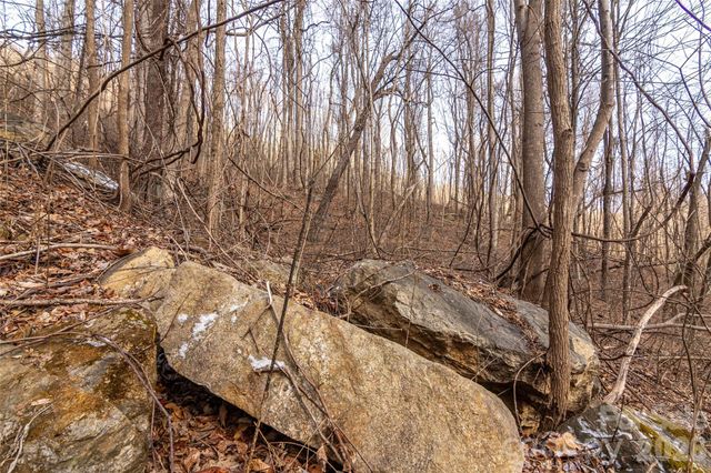 630 Spring Cove Lane, Mill Spring, NC 28756