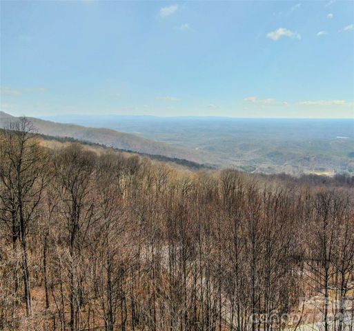 630 Spring Cove Lane, Mill Spring, NC 28756