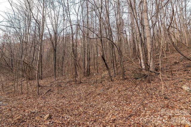 630 Spring Cove Lane, Mill Spring, NC 28756