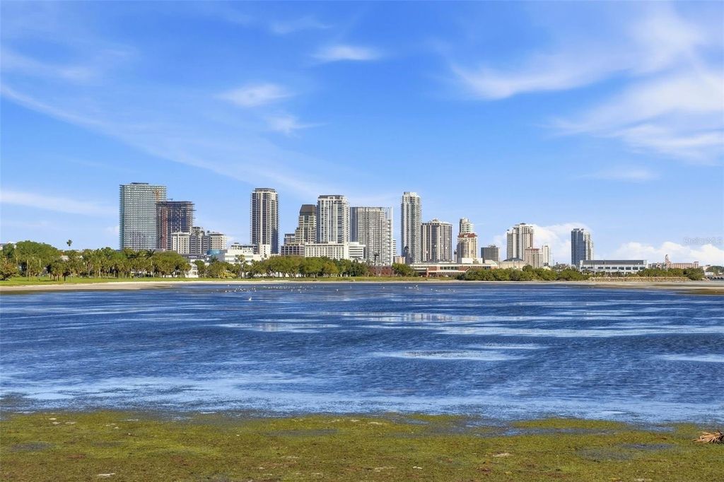 Image 10 of property listing at 369 22ND AVENUE SE, St Petersburg, FL 33705