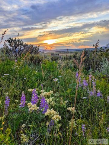 186 Elk Ridge Drive, Swan Valley, ID 83449