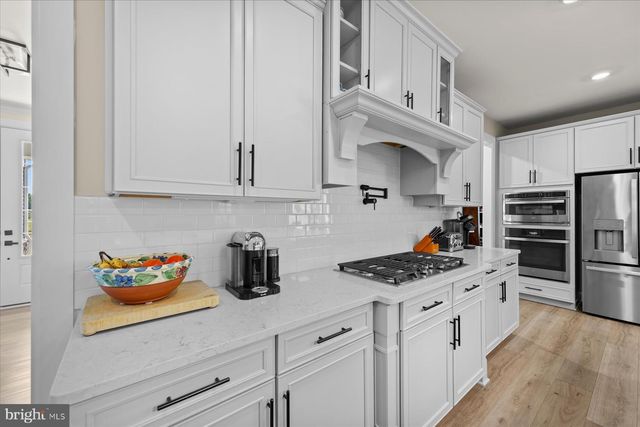 33135 SEA LIONS CT, Frankford, DE 19945
