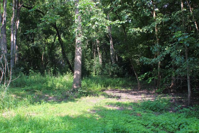 3895 S Washington Road, Spaulding Twp, MI 48601