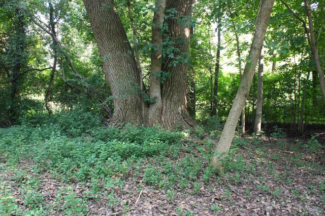 3895 S Washington Road, Spaulding Twp, MI 48601