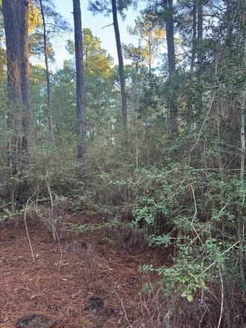 103 Lake Point WAY, Bastrop, TX 78602