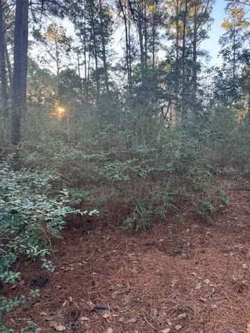 103 Lake Point WAY, Bastrop, TX 78602