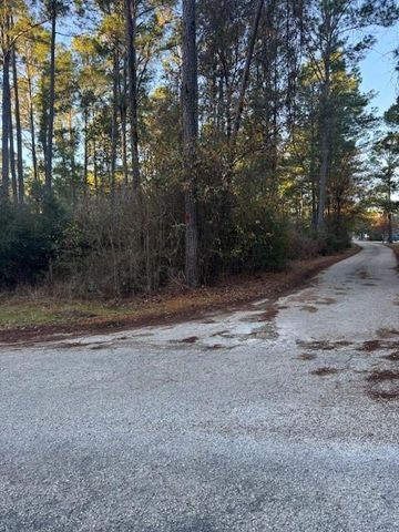 103 Lake Point WAY, Bastrop, TX 78602