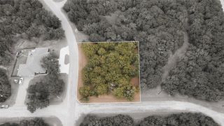 25064 Woodmont Drive, Whitney, TX 76692
