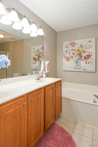 169 Tori Pines Drive, Oakville, MO 63129