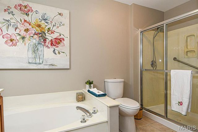 169 Tori Pines Drive, Oakville, MO 63129