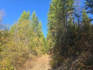 3XXX Sand Creek Rd, Kettle Falls, WA 99141